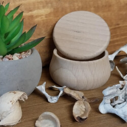 boite a dents de lait